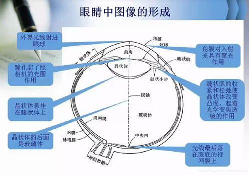 人工智能基礎 計算機視覺與圖像處理的核心課程